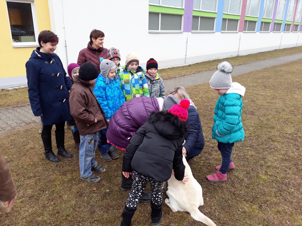 20180327_084442.jpg