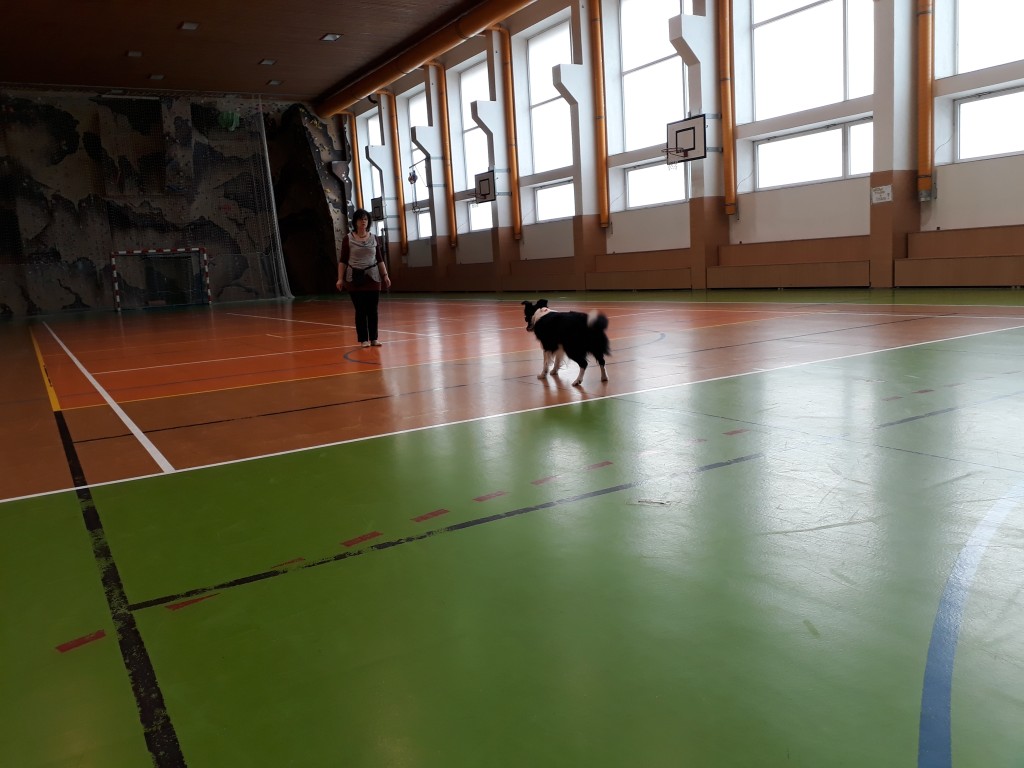 20180403_080803.jpg