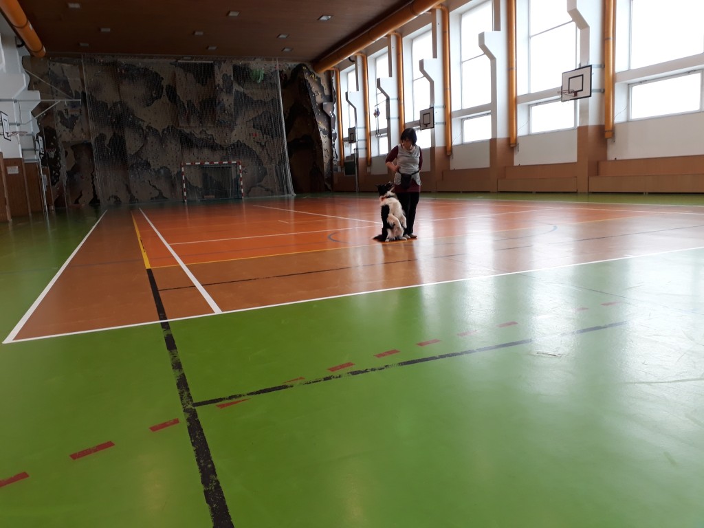 20180403_080914.jpg