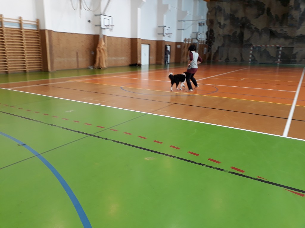 20180403_081232.jpg