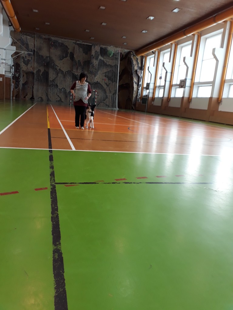 20180403_081300.jpg