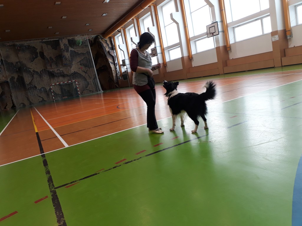 20180403_083053.jpg