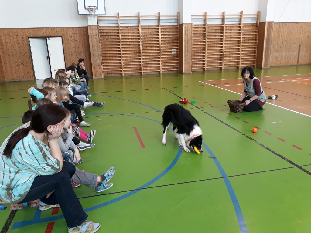 20180403_083738.jpg