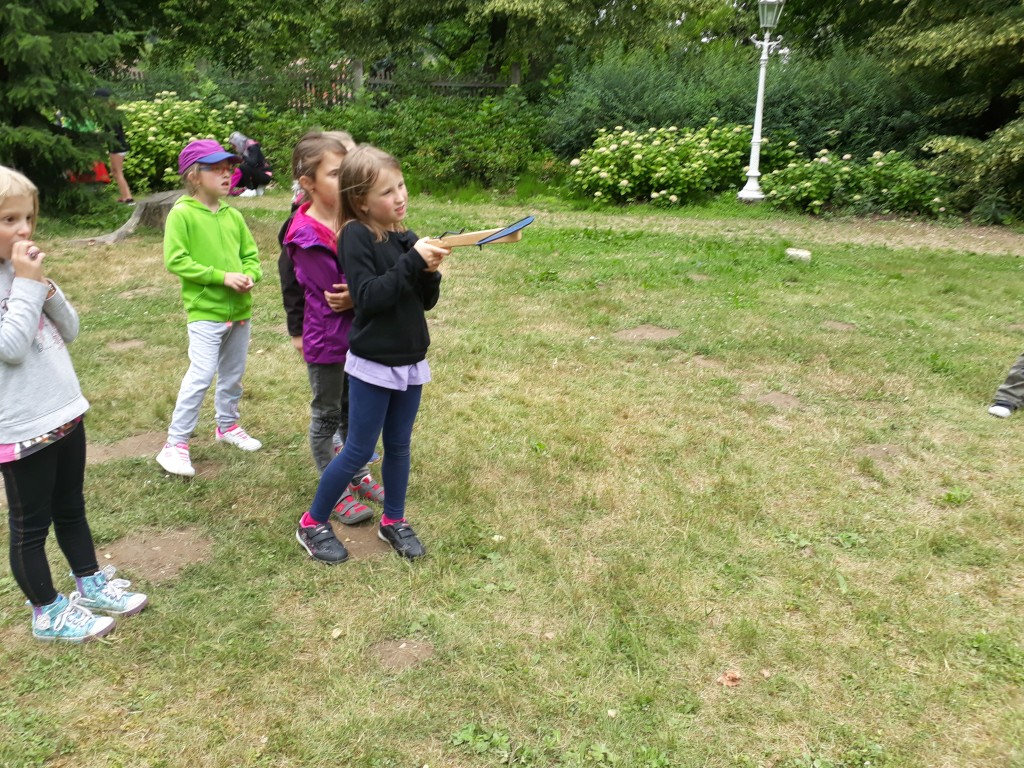 20180614_115226.jpg