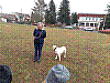 20180327_083653.jpg