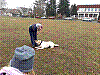 20180327_083707.jpg