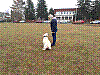 20180327_083915.jpg
