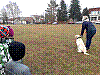 20180327_083917.jpg