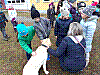 20180327_084349.jpg