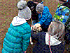 20180327_084500.jpg