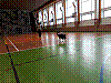20180403_080803.jpg