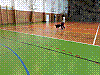 20180403_081232.jpg