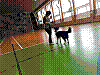 20180403_083053.jpg