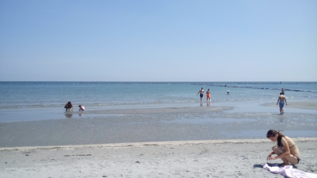 IMG_20180609_121248.jpg