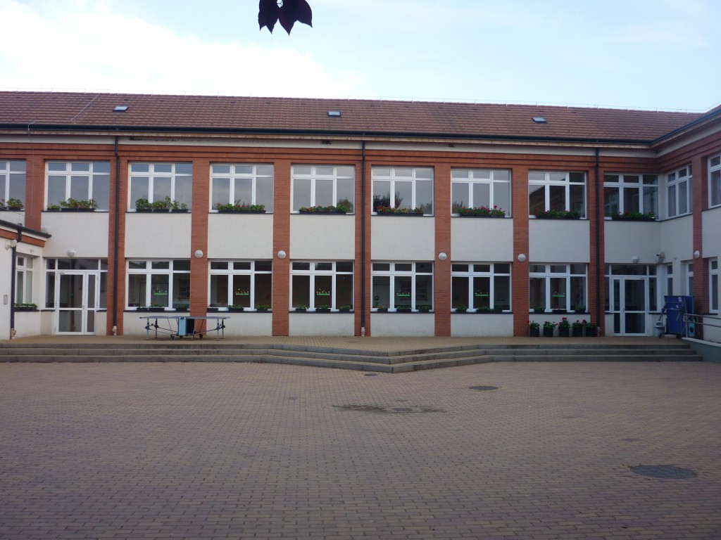 P1010527.jpg