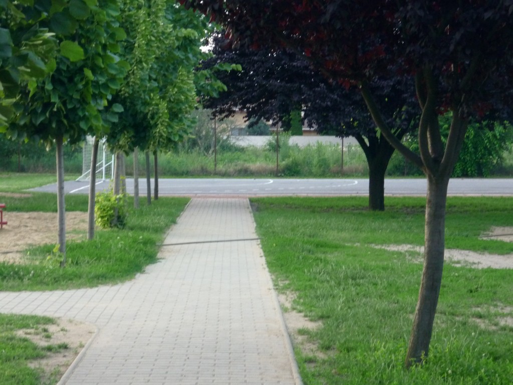 P1010530.jpg