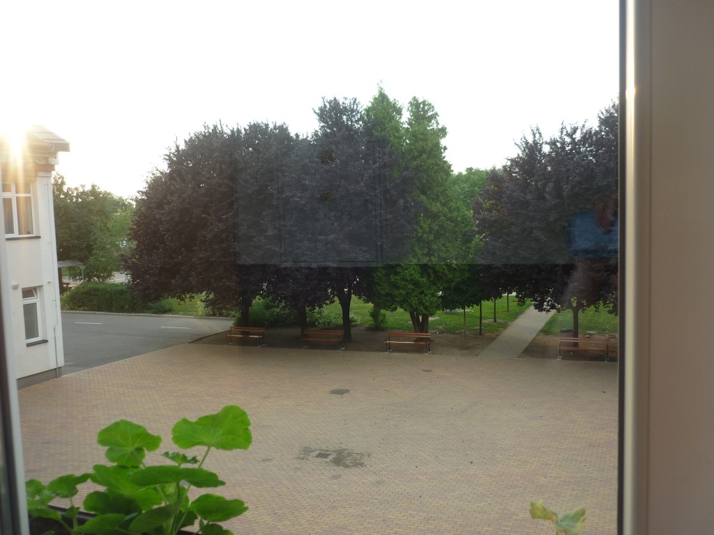 P1010545.jpg