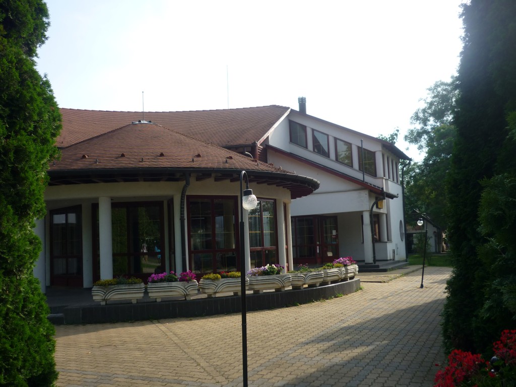 P1010553.jpg