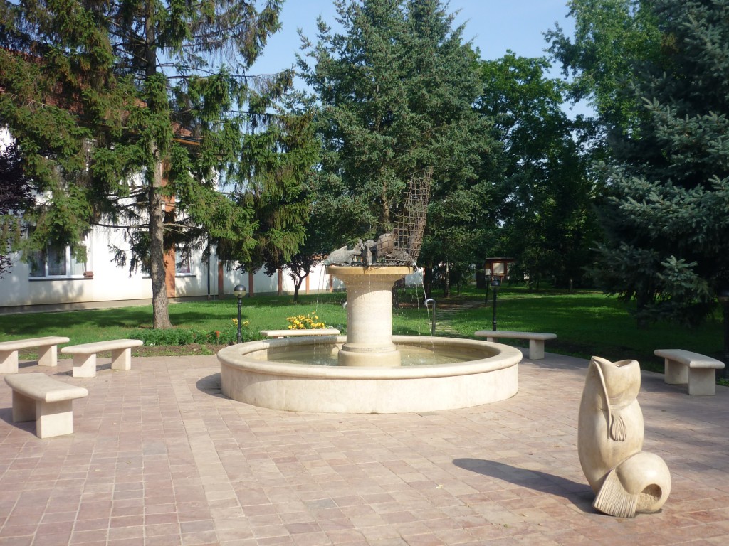 P1010562.jpg