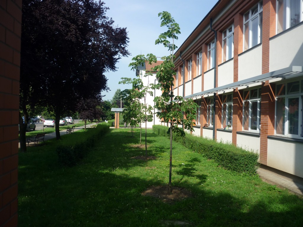 P1010566.jpg