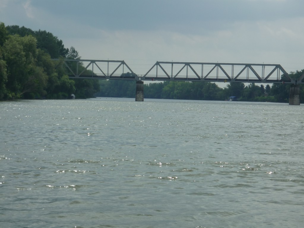 P1010615.jpg