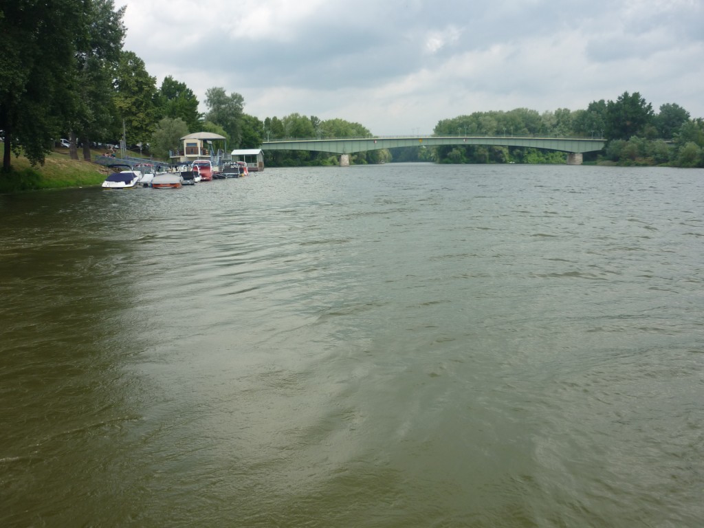 P1010616.jpg