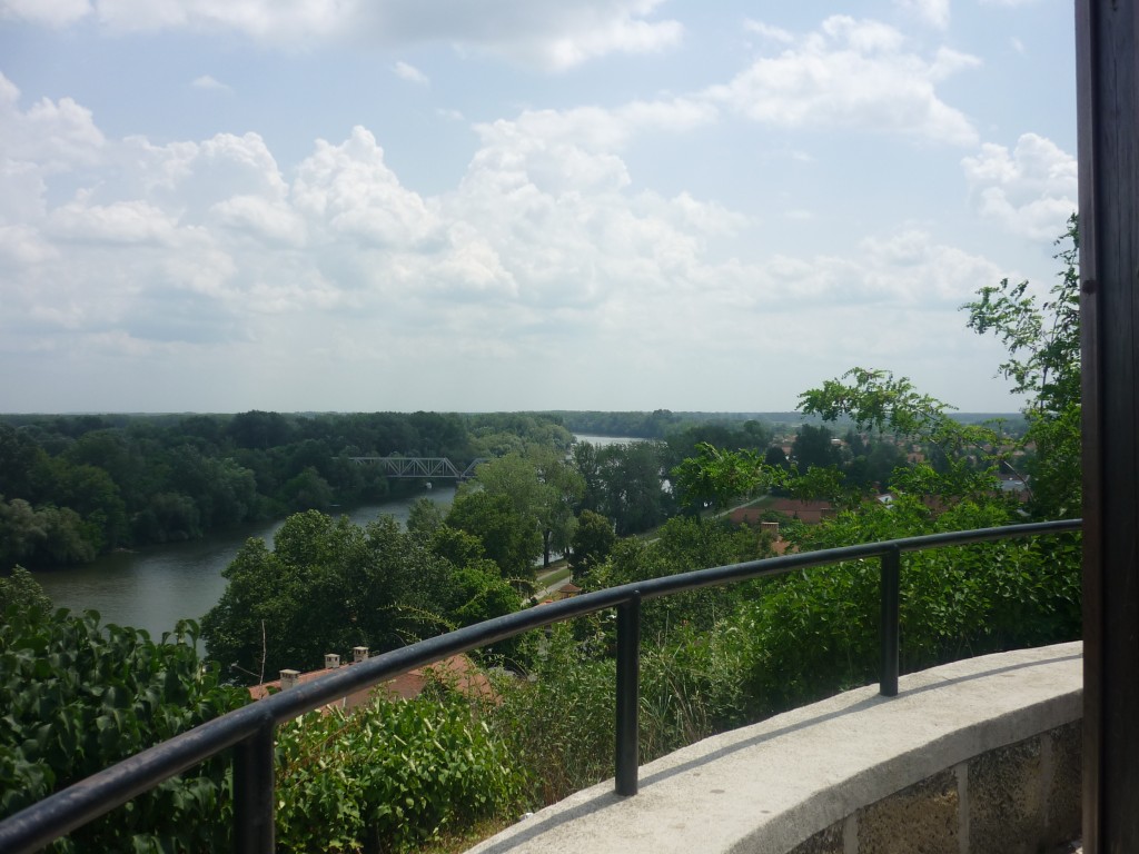 P1010627.jpg
