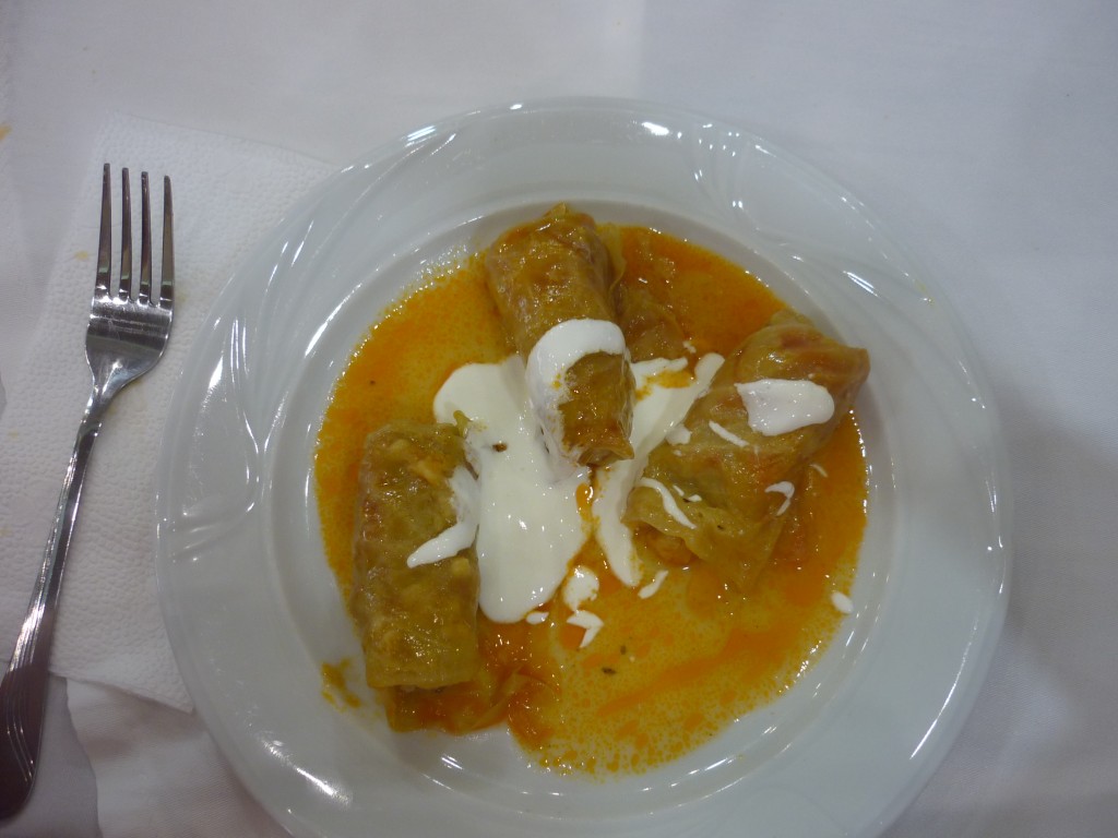 P1010642.jpg