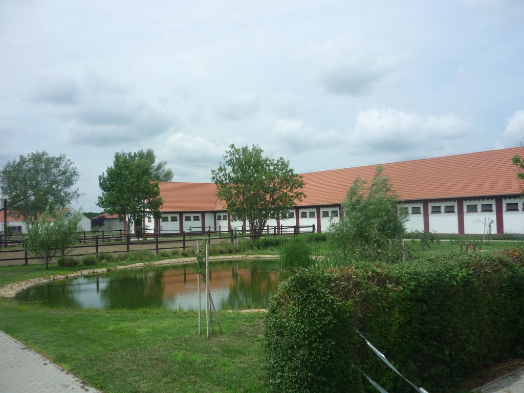 P1010645.jpg