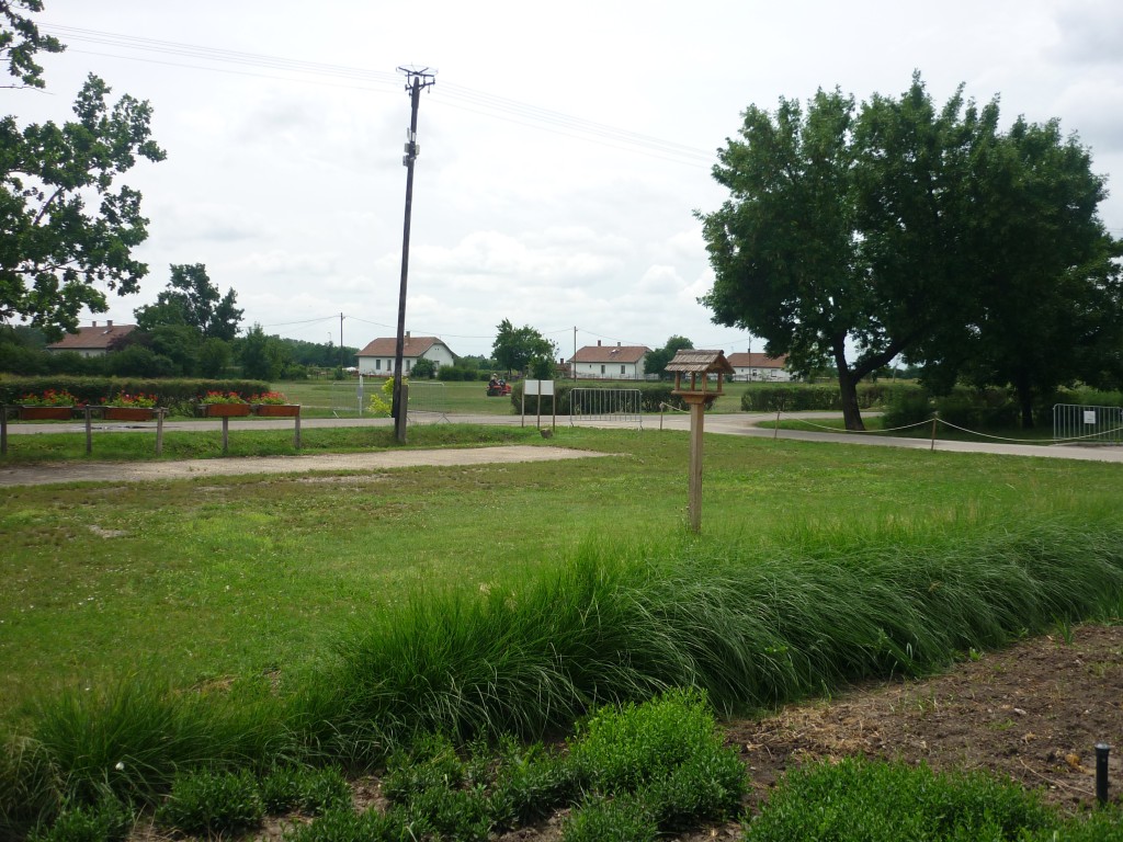 P1010646.jpg