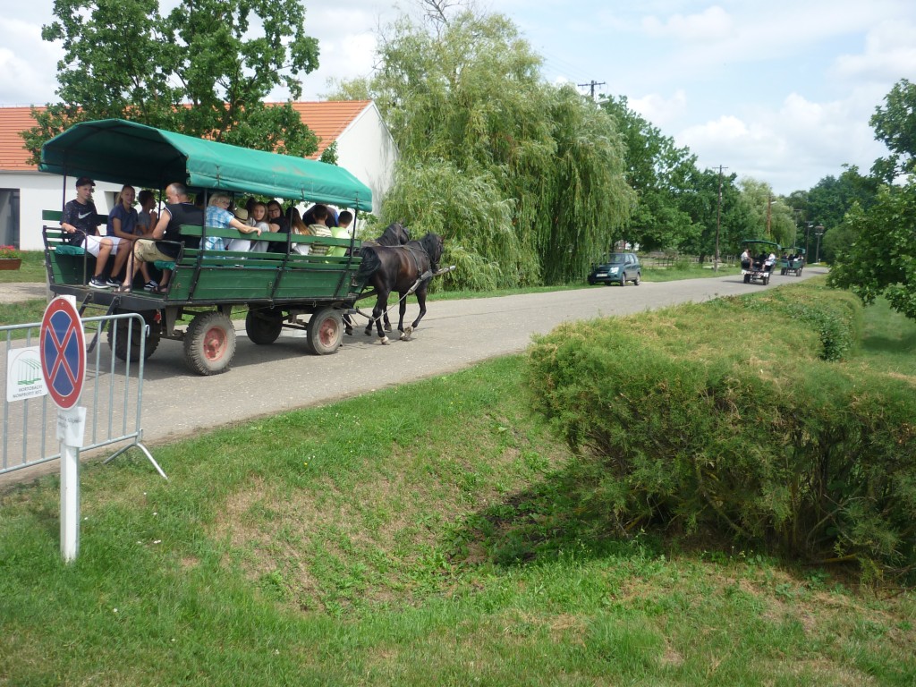 P1010658.jpg