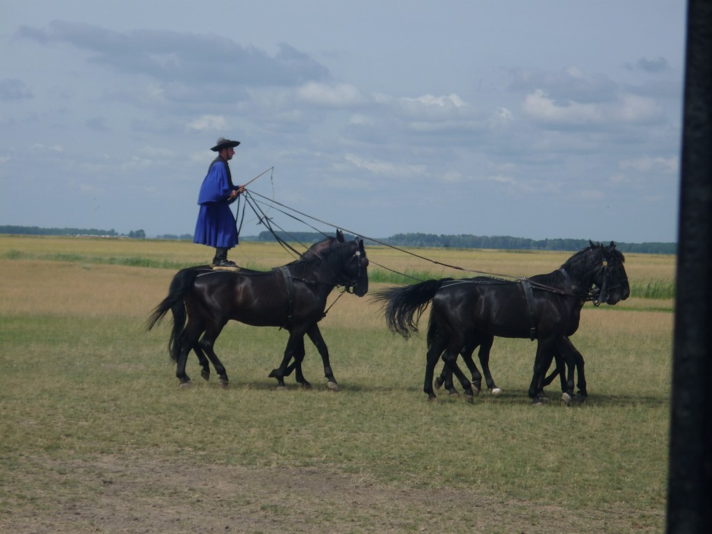 P1010721.jpg