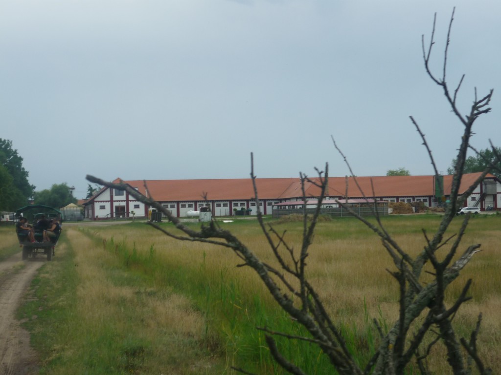 P1010747.jpg