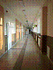 P1010542.jpg