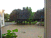 P1010545.jpg