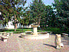 P1010562.jpg
