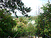 P1010628.jpg