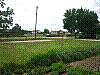 P1010646.jpg