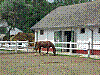 P1010648.jpg