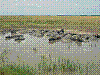 P1010674.jpg