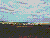 P1010683.jpg