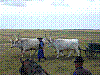 P1010692.jpg