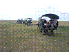 P1010697.jpg