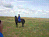 P1010699.jpg