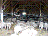 P1010736.jpg