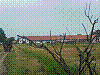 P1010747.jpg