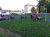 20181005_081447.jpg