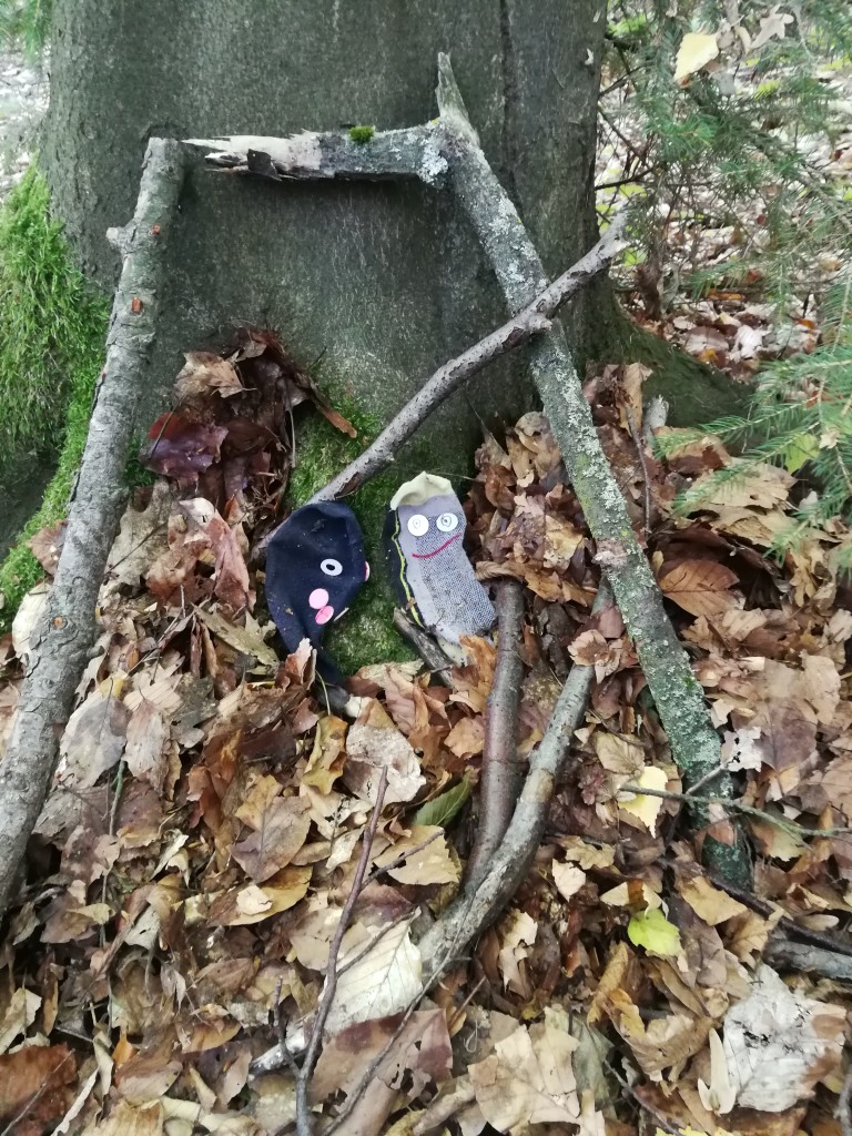 IMG_20181004_101933.jpg