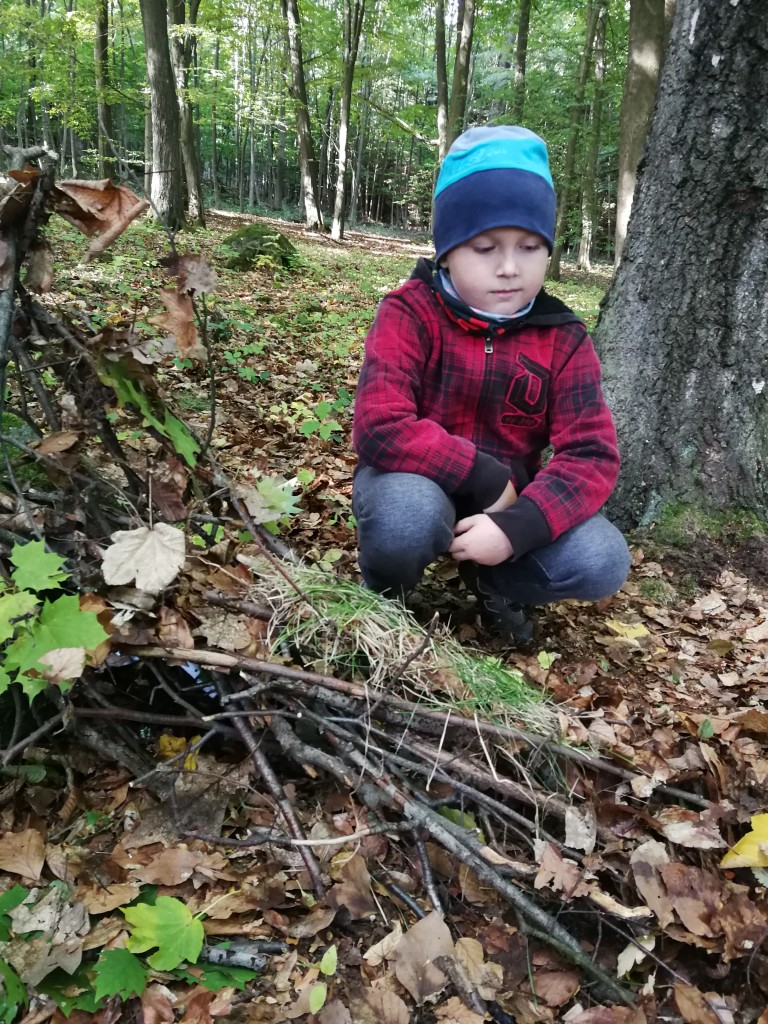 IMG_20181004_102029.jpg