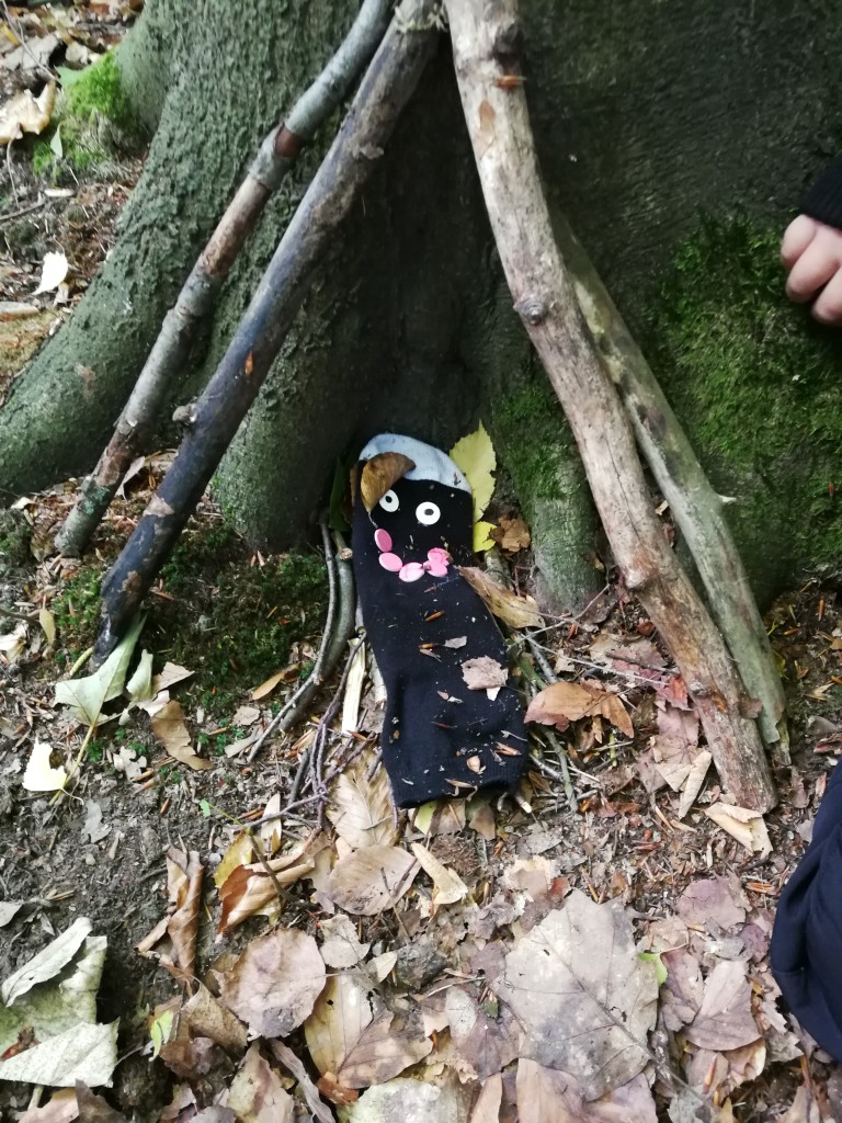 IMG_20181004_102124.jpg